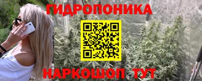 наркотики Будённовск