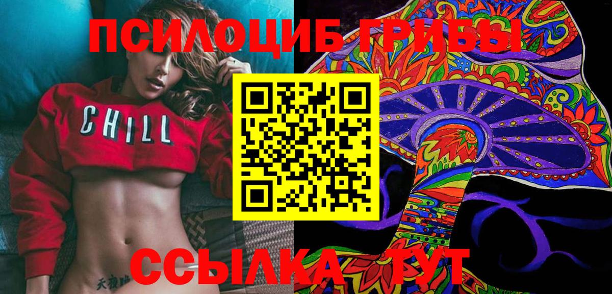 закладки  Галлюциногенные грибы ЛСД  Вход с VPN  Моздок 