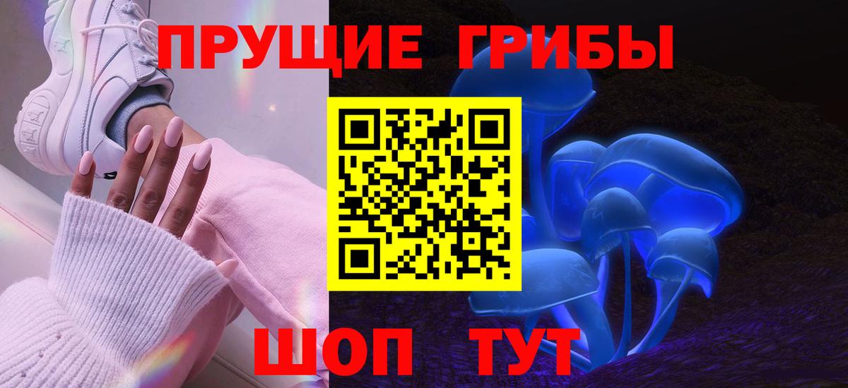 Псилоцибиновые грибы GOLDEN TEACHER Моздок